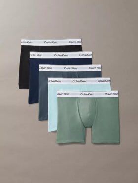 Boxer Icon din bumbac Cotton Stretch, pachet de 5 Boxer Brief