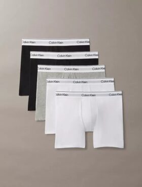 Boxer Icon din bumbac Cotton Stretch, pachet de 5 Boxer Brief