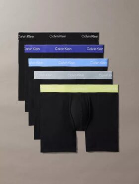 Boxer Icon din bumbac Cotton Stretch, pachet de 5 Boxer Brief