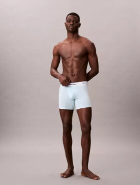 Boxer Icon din bumbac Cotton Stretch, pachet de 5 Boxer Brief