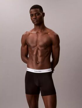 Boxer Icon din bumbac Cotton Stretch, pachet de 5 Boxer Brief