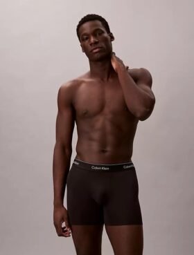 Boxer Icon din bumbac Cotton Stretch, pachet de 5 Boxer Brief