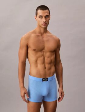 Boxeri clasici din bumbac Cotton Stretch Heritage