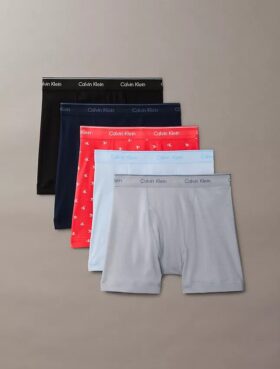 Boxeri clasici din bumbac, pachet de 5 Boxeri