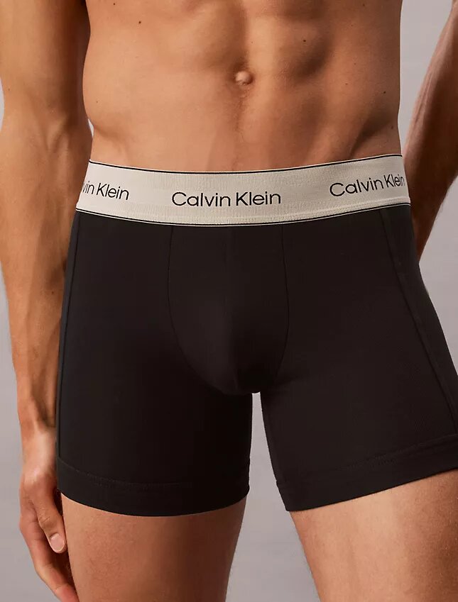 Boxeri din bumbac Cotton Stretch, pachet de 3 Boxer Brief Boxeri din bumbac Cotton Stretch, pachet de 3 Boxer Brief