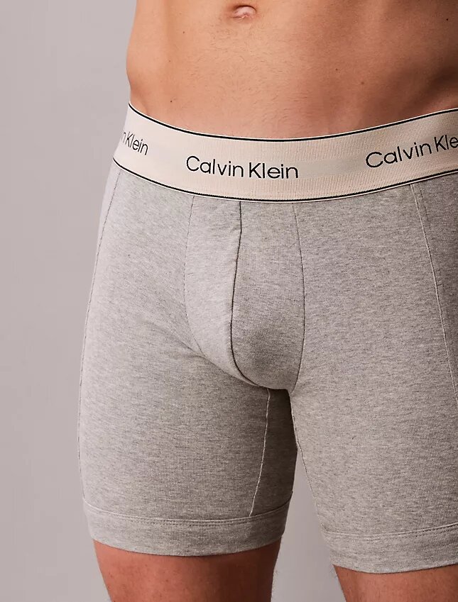 Boxeri din bumbac Cotton Stretch, pachet de 3 Boxer Brief Boxeri din bumbac Cotton Stretch, pachet de 3 Boxer Brief