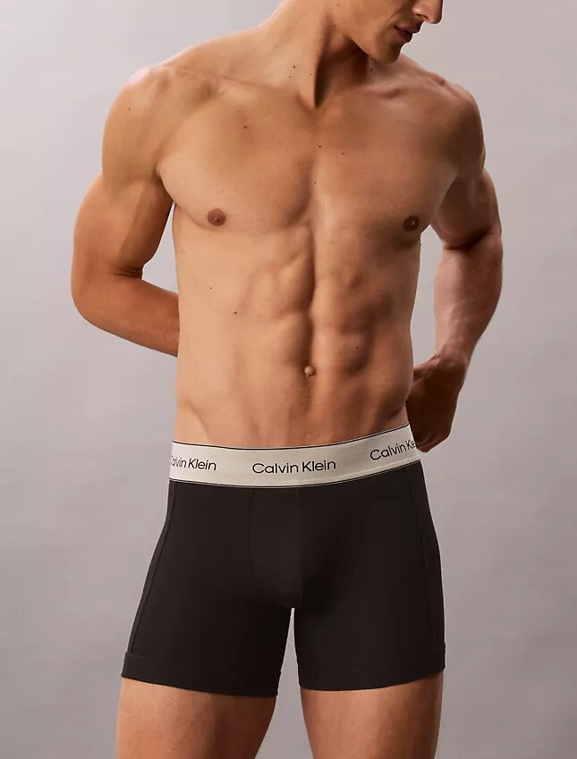 Boxeri din bumbac Cotton Stretch, pachet de 3 Boxer Brief Boxeri din bumbac Cotton Stretch, pachet de 3 Boxer Brief