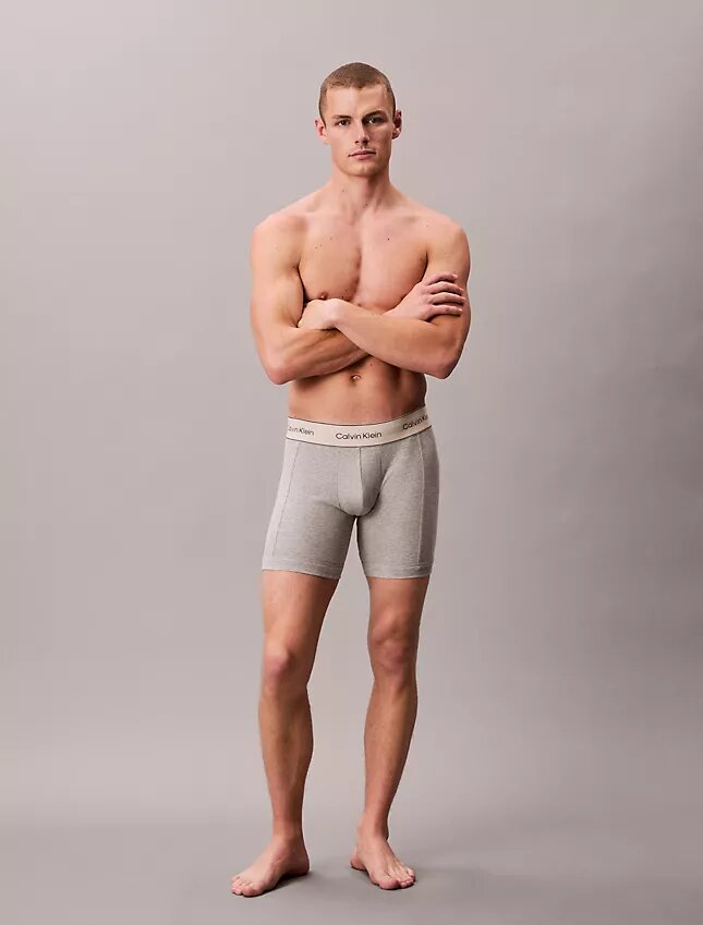 Boxeri din bumbac Cotton Stretch, pachet de 3 Boxer Brief Boxeri din bumbac Cotton Stretch, pachet de 3 Boxer Brief