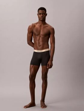 Boxeri din microfibră elastică, pachet de 3 Boxeri Brief