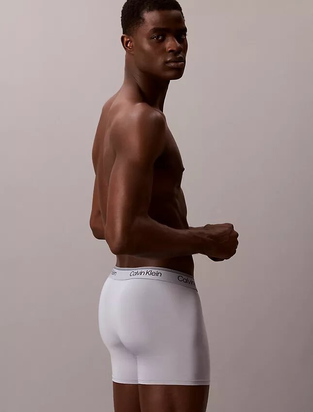 Boxeri din microfibră elastică, pachet de 3 Boxeri Brief Boxeri din microfibră elastică, pachet de 3 Boxeri Brief