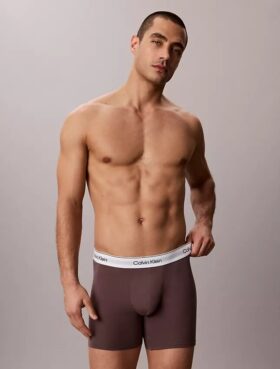 Boxeri Icon din bumbac Cotton Stretch Boxer Brief
