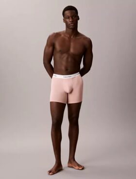 Boxeri Icon din bumbac Cotton Stretch Boxer Brief