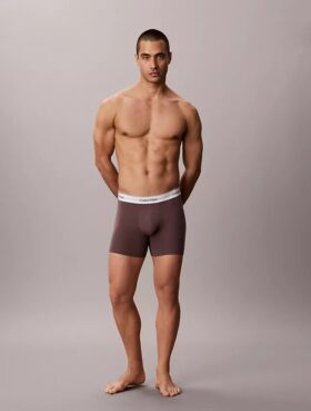Boxeri Icon din bumbac Cotton Stretch Boxer Brief