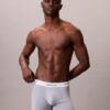 Boxeri Icon din bumbac Cotton Stretch, pachet de 3 Boxer Brief