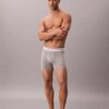 Boxeri Icon din bumbac Cotton Stretch, pachet de 3 Boxer Brief