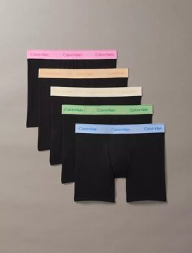 Boxeri Icon din bumbac Cotton Stretch Pride, pachet de 5 Boxeri Brief