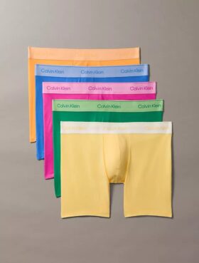 Boxeri Icon din bumbac Cotton Stretch Pride, pachet de 5 Boxeri Brief