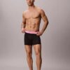 Boxeri Icon din bumbac Cotton Stretch Pride, pachet de 5 Boxeri Brief