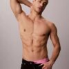 Boxeri Icon din bumbac Cotton Stretch Pride, pachet de 5 Boxeri Brief