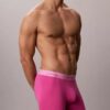 Boxeri Icon din bumbac Cotton Stretch Pride, pachet de 5 Boxeri Brief