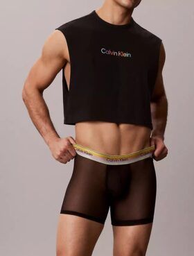 Boxeri Icon Mesh Pride Boxer Brief