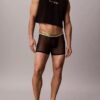 Boxeri Icon Mesh Pride Boxer Brief