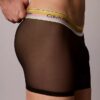 Boxeri Icon Mesh Pride Boxer Brief