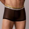 Boxeri Icon Mesh Pride Low Rise Trunk