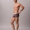 Boxeri iconici din bumbac Cotton Stretch cu talie joasă Low Rise Trunk