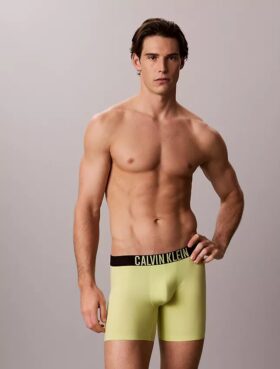 Boxeri Intense Power Motion Boxer Brief