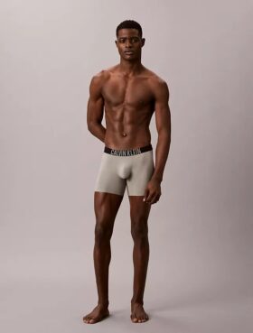 Boxeri Intense Power Motion Boxer Brief