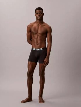 Boxeri Intense Power Motion Boxer Brief