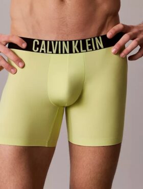 Boxeri Intense Power Motion Boxer Brief