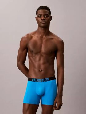 Boxeri Intense Power Motion Boxer Brief
