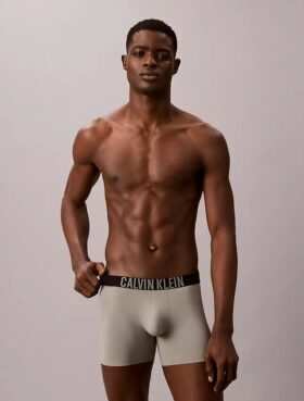 Boxeri Intense Power Motion Boxer Brief