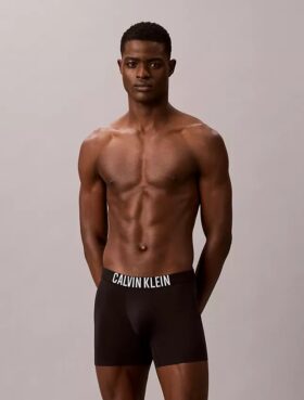 Boxeri Intense Power Motion Boxer Brief