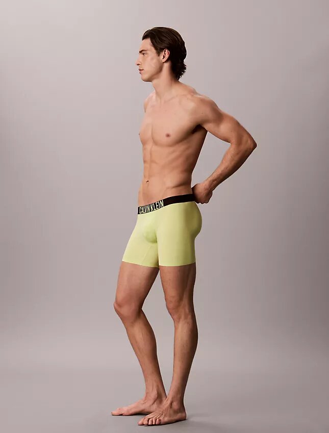 Boxeri Intense Power Motion Boxer Brief Boxeri Intense Power Motion Boxer Brief