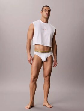 Chiloți scurți Icon Cotton Stretch Pride