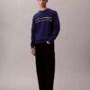 Hanorac clasic cu dungi din fleece