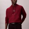 Hanorac cu glugă din fleece premium Monologo