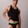 Icon Cotton Stretch Pride 5-Pack Brief