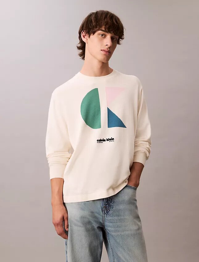 Pulover clasic cu imprimeu grafic colorblock Pulover clasic cu imprimeu grafic colorblock