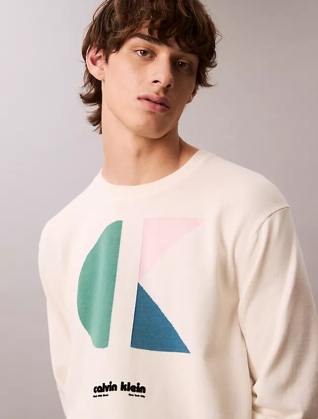 Pulover clasic cu imprimeu grafic colorblock Pulover clasic cu imprimeu grafic colorblock
