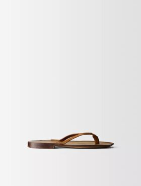 Sandala Pollon