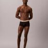 Set de 3 Low Rise Trunks din microfibră elastică Set de 3 Low Rise Trunks din microfibră elastică