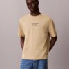 Tricou clasic cu guler rotund și logo decolorat Tricou clasic cu guler rotund și logo decolorat
