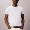 Tricou cu logo grafic Calvin Klein