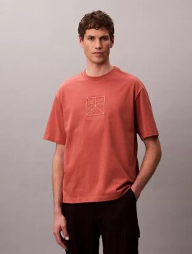 Tricou lejer cu logo emblemă