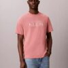 Tricou lejer cu logo grafic Tricou lejer cu logo grafic