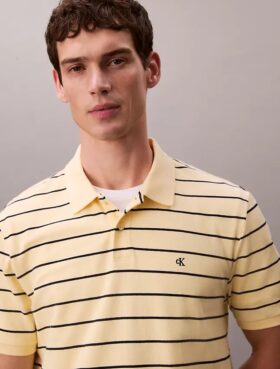 Tricou polo clasic din bumbac piqué cu dungi